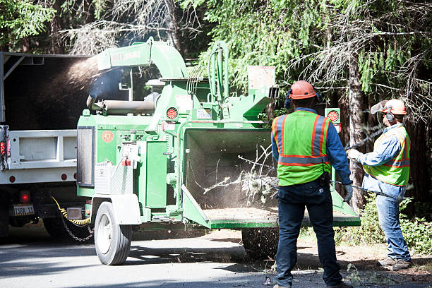 Best Commercial Tree Services  in Waupaca, WI